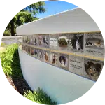 A wall display featuring various images of animals, showcasing their stories and the impact of animal rescue donations. The setting includes greenery and clear blue skies, emphasizing the positive outcomes of support for animal welfare.