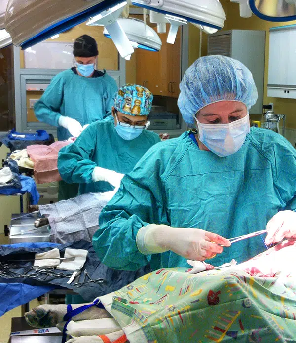Three medical professionals wearing surgical masks and gowns are in an operating room. They are performing surgery on a patient, focused on their tasks amidst medical equipment and instruments. The image relates to the importance of Veterans benefits for healthcare.