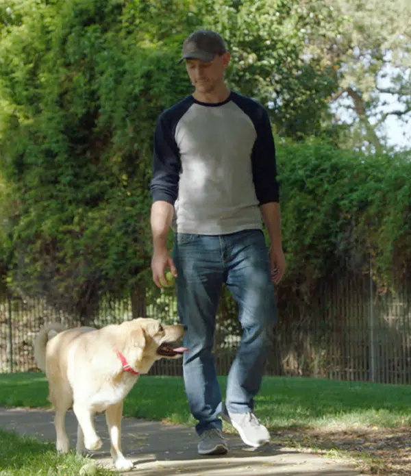 A man wearing a gray and black shirt walks along a pathway with a yellow dog beside him. The scene is set in a green park filled with trees and foliage, emphasizing a peaceful outdoor environment related to veterans benefits.