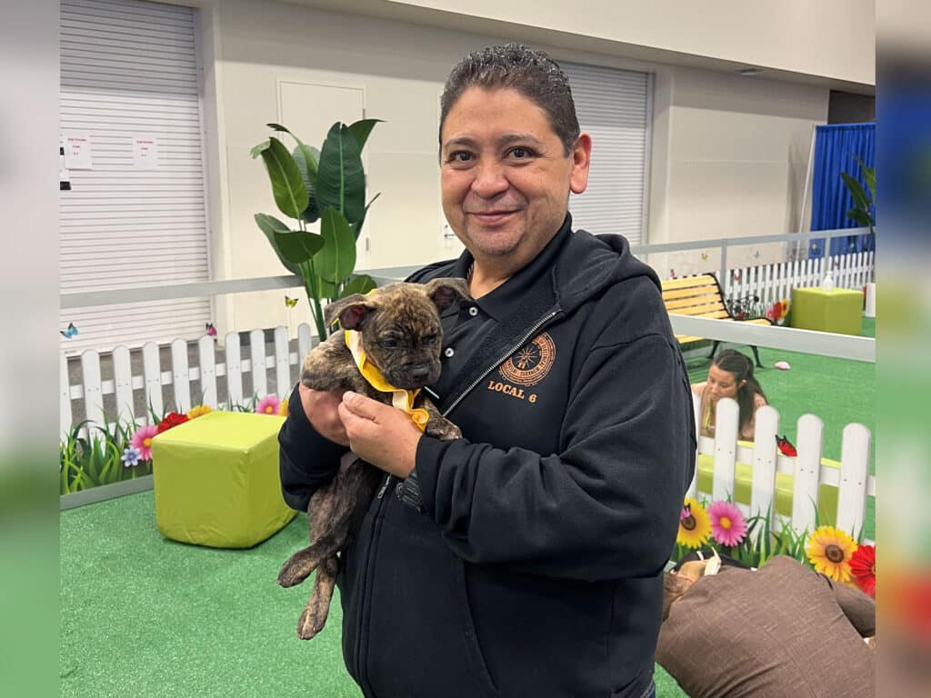 A man wearing a black jacket holds a small brown puppy with a yellow bandana in an indoor setting featuring green carpet and decorative plants. In the background, others are interacting in a similar playful area.