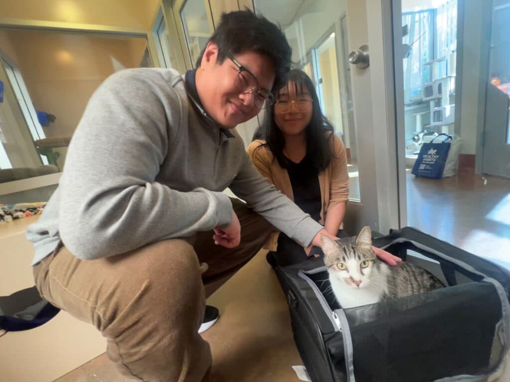 A young man and woman are kneeling beside a black pet carrier. The man is smiling while gently touching a gray and white cat inside the carrier, and the woman is looking at the cat, also smiling. They are in a bright indoor setting.