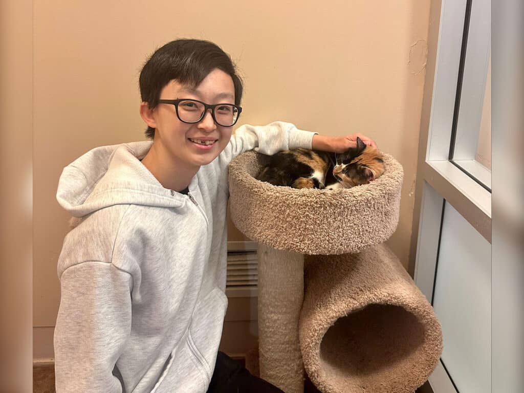 A young person wearing a light gray hoodie smiles while sitting beside a cat tree. Two calico cats are resting inside the top compartment of the tree. The setting appears cozy, with a neutral-colored wall in the background.