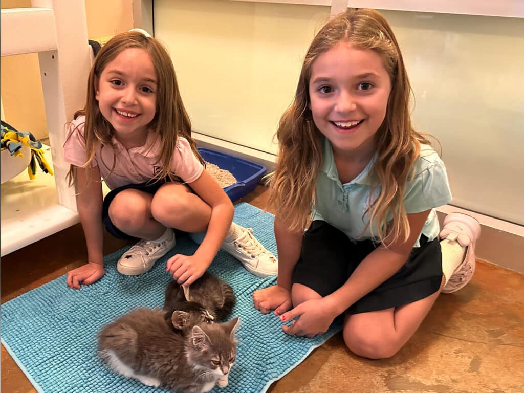 Two girls crouch on a light blue mat, smiling while interacting with two gray kittens. The girl on the left wears a pink shirt and black shorts, while the girl on the right wears a blue shirt and black skirt. The setting appears to be an animal shelter.