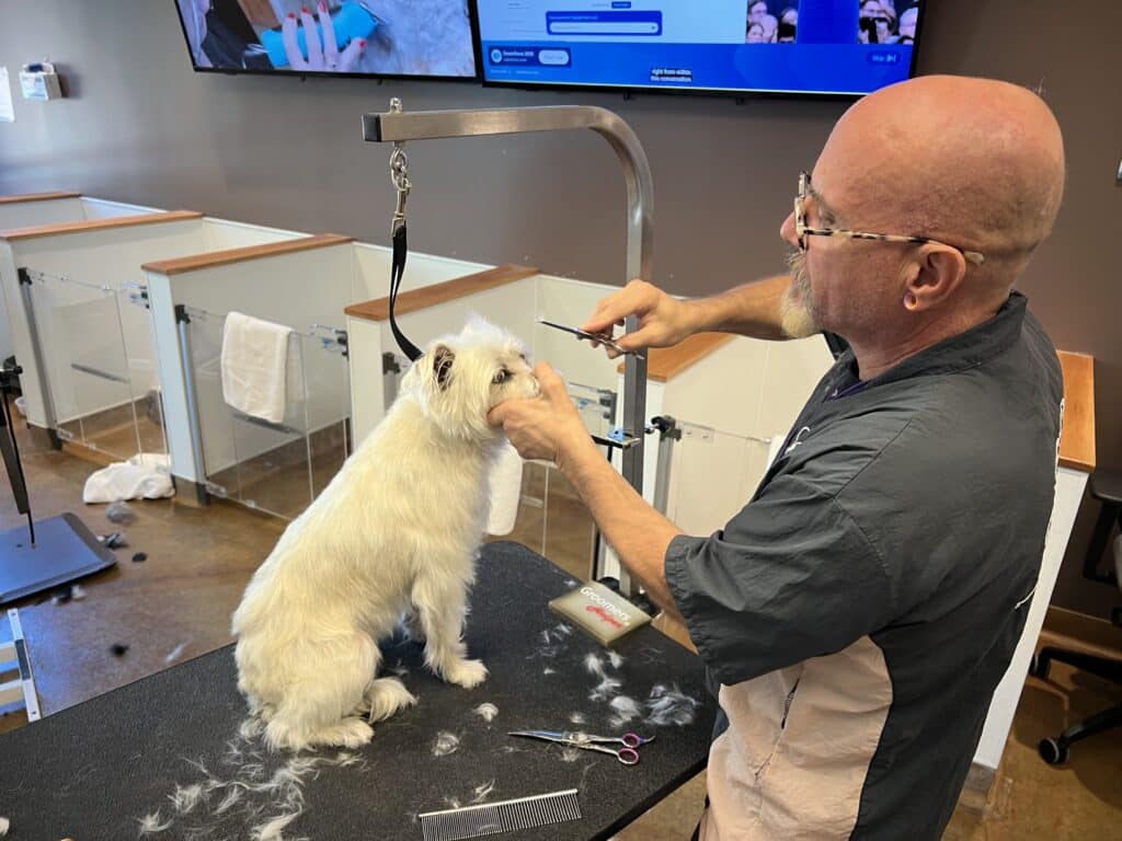 A dog sits on a grooming table as a groomer in a gray shirt trims its fur. The grooming area has tools and equipment visible, with a screen in the background displaying images. Hair clippings are scattered on the table.