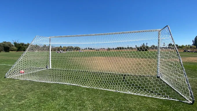 Mobile Adoptions at the Solano Soccer Club