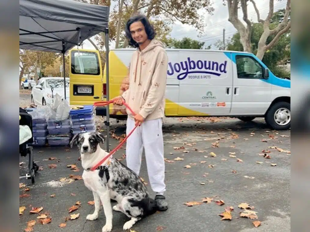 A person standing on a paved area holding a leash attached to a large dog. A delivery van with the logo 'Joybound' is parked in the background. Trees with autumn leaves are visible around the scene.