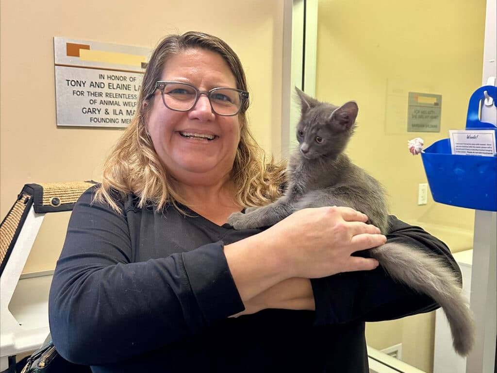A smiling woman with long brown hair and glasses holds a gray kitten on her arms. The background shows a sign honoring various individuals and a blue container with office supplies.