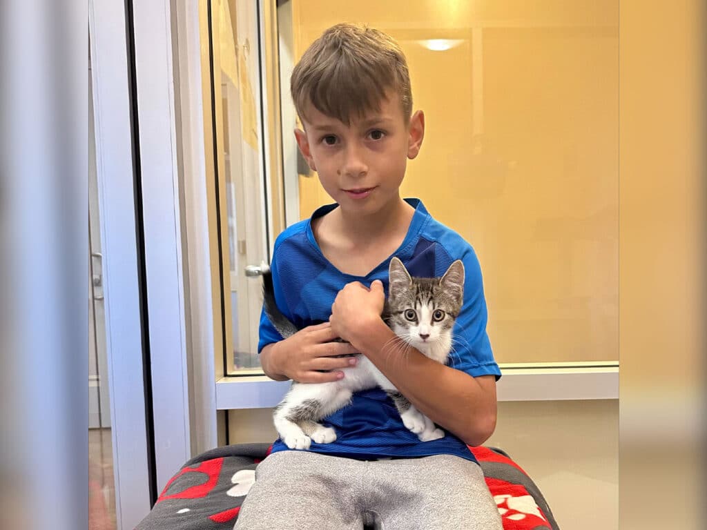 A young boy wearing a blue shirt sits on a couch, holding a gray and white kitten in his arms. They are in a well-lit room with glass walls. The boy is looking at the camera with a neutral expression.