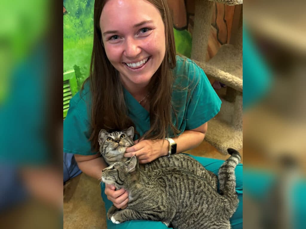 A woman wearing teal scrubs is smiling while holding two tabby cats in a colorful room. One cat is perched on her lap while she gently touches the other cat's face. The background features a green wall with a playful design.