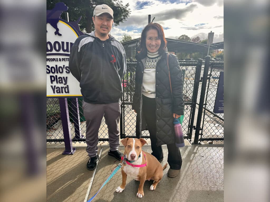 A man and a woman stand beside a pit bull mix in front of a sign that reads 'Solo's Play Yard.' The woman is wearing a black coat and the man is in a black and white tracksuit. The dog has a pink collar and is sitting on a leash.