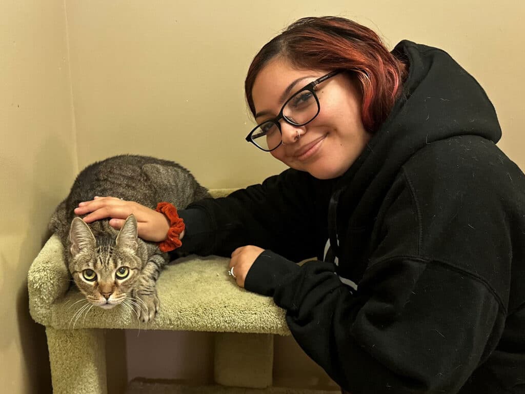 A young woman with red-tinted hair and glasses is smiling while petting a gray tabby cat on a small green cat tree. The background is a neutral color, providing a simple setting that highlights the interaction between the woman and the cat.