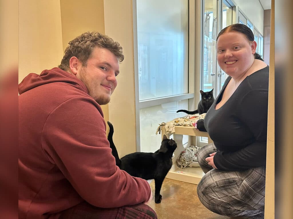 A man and a woman smiling while interacting with two black cats in a bright animal shelter. The setting has large windows and a clean environment, with one cat on a low shelf and another on the floor near them.