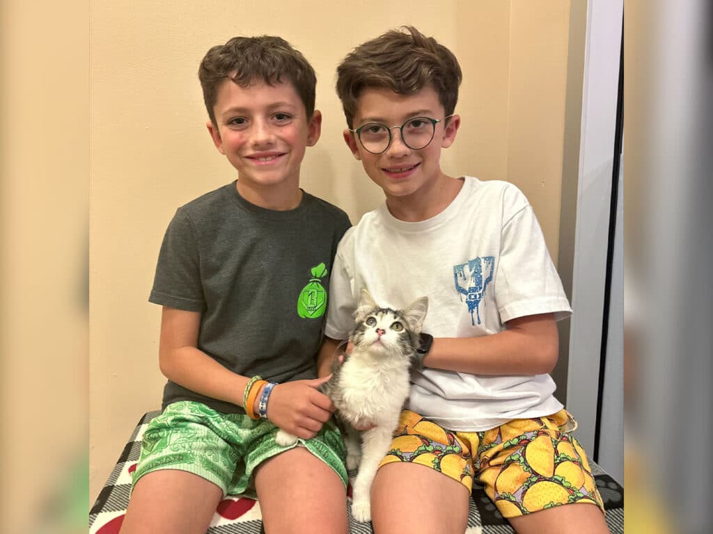 Two boys sitting close together on a checkered blanket, both smiling. The boy on the left is wearing a gray t-shirt and green shorts, while the boy on the right is in a white t-shirt and yellow shorts. They are holding a small white kitten.