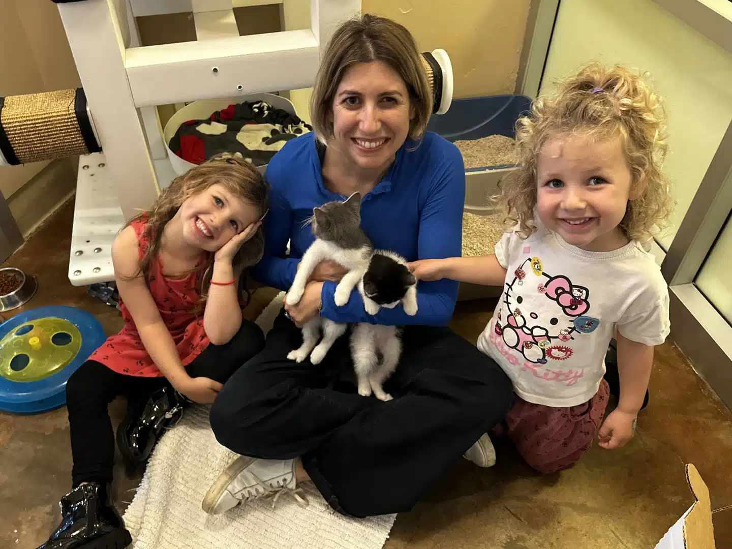 Adoption Recap – Week of November 3