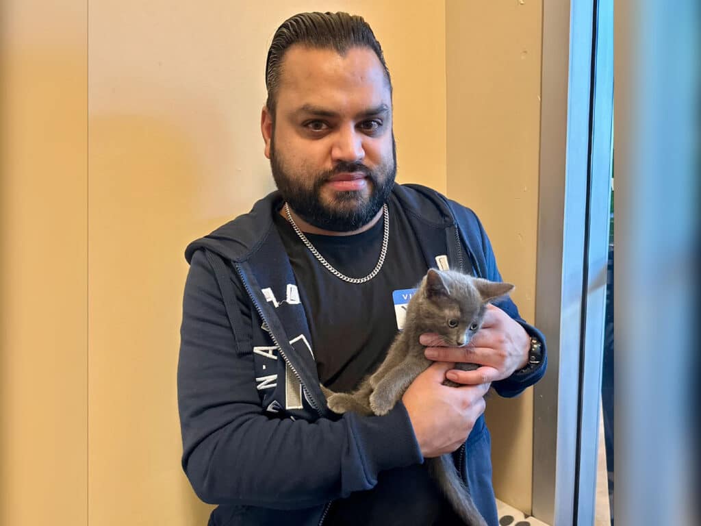 A man with a beard wearing a navy hoodie holds a gray kitten in his arms while standing near a window with natural light. The background features a light-colored wall.