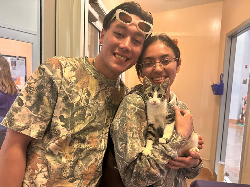 A young man and woman stand close together in a room, both wearing camouflage clothing. The man has sunglasses on his head and is smiling. The woman holds a small gray and white kitten, looking content in her arms.