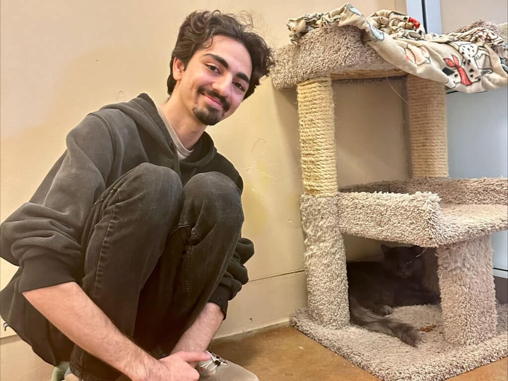 A young man crouches beside a beige cat tree, smiling as he looks at a gray cat hiding inside a lower level. The setting is an animal shelter, with a plain wall and floor visible in the background.