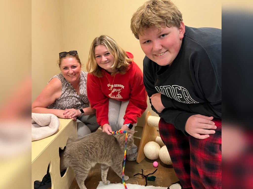 A woman, a girl, and a boy interact with a gray cat in a room designed for pet adoption. The woman and girl are smiling, while the boy holds a colorful toy attached to the cat. Cat toys and comfortable bedding are visible in the background.