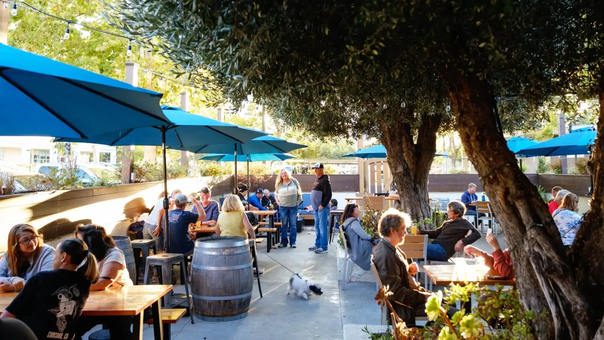 Mobile Adoptions at Side Gate Brewery & Beer Garden