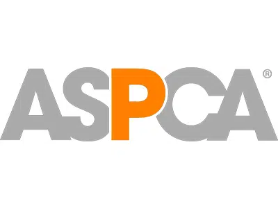 The ASPCA logo features the letters 'ASPCA' in bold gray with the letter 'P' highlighted in orange. This logo represents the organization's mission to protect animals. Related to the Joybound Strategic Plan, it emphasizes their goals in the Impact Report 2024-2025.