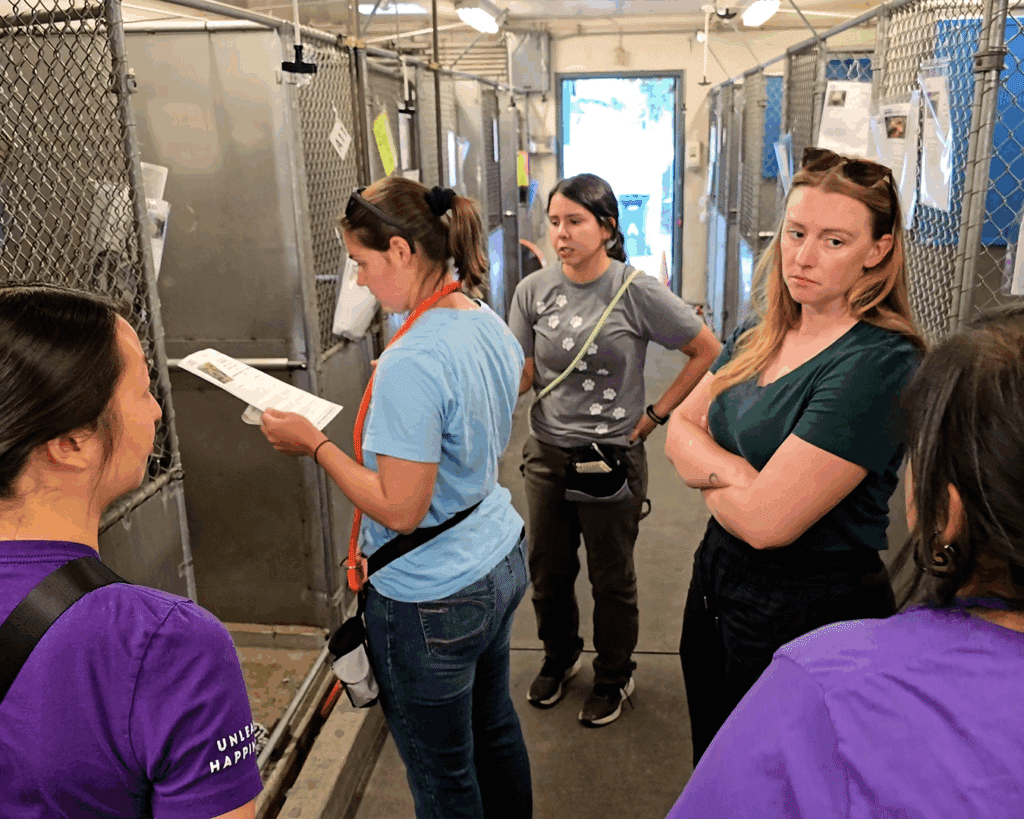 A group of four women standing in an animal shelter's hallway with cages on either side. One woman is reading from a document, another stands with arms crossed, while the rest engage in conversation. The atmosphere appears focused and professional.