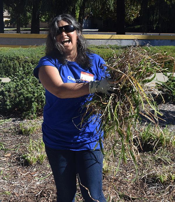 A smiling woman wearing sunglasses and a blue volunteer shirt holds a bundle of pulled weeds in a garden. She stands in the sunlight amidst a landscaped area, showcasing her engagement in community gardening efforts.