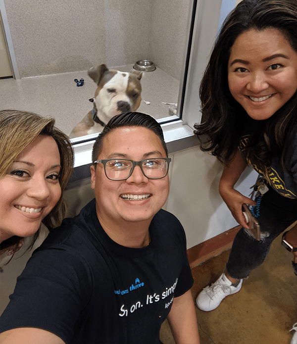 Three volunteers posing for a selfie inside a pet adoption center. Two women and one man smile at the camera while a dog looks out from a kennel behind them. The setting is bright and welcoming, emphasizing the theme of volunteering.