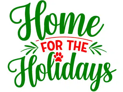 Holiday Merchandise Sale at Joybound!