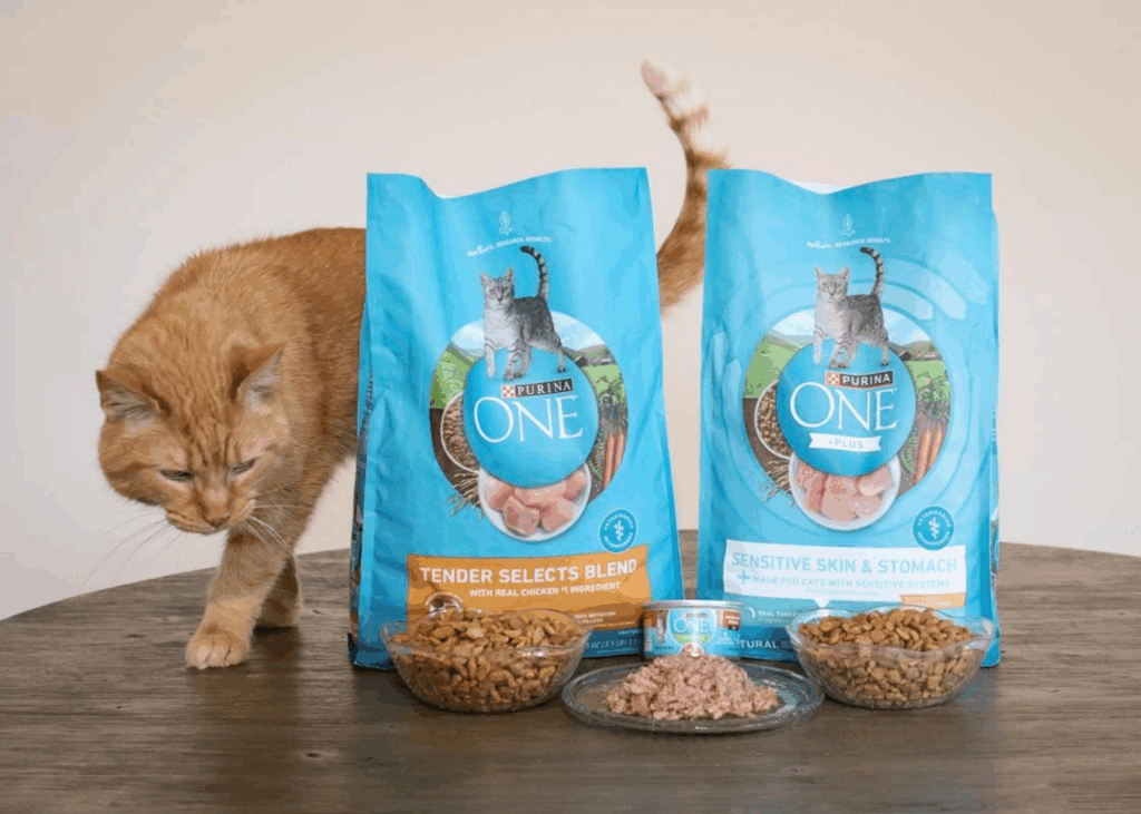 A ginger cat on a wooden table beside two bags of Purina ONE cat food labeled "Tender Selects Blend" and "Sensitive Skin & Stomach." Bowls contain kibble and wet food, with the cat showing interest in the food.