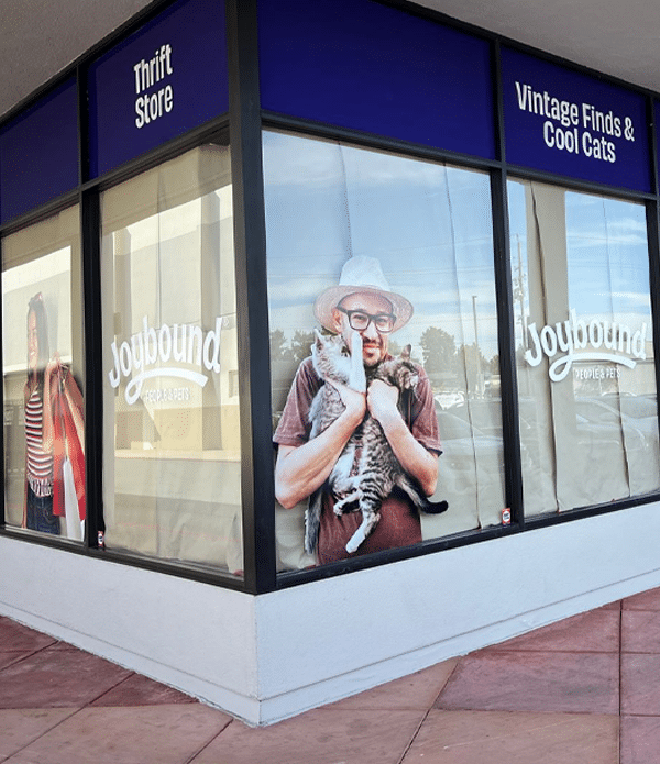 Grand Re-Opening of the Joybound Thrift Store, Cat Lounge & Adoption Center