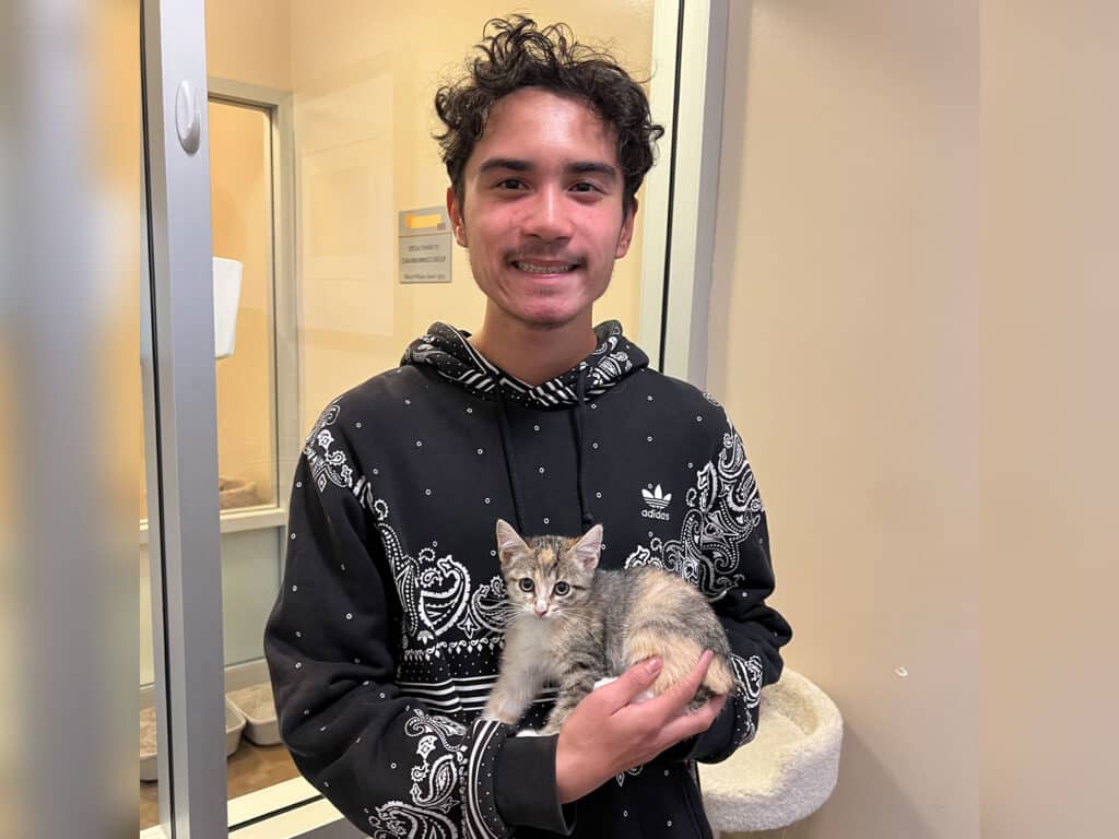 A young male holding a small gray kitten in front of a glass enclosure in a well-lit room. He is wearing a black hoodie with white patterns and smiling at the camera.