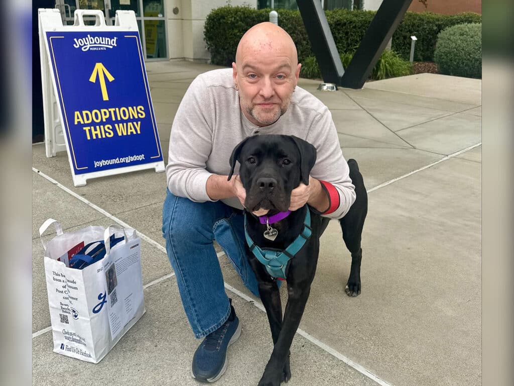 A man kneels beside a black Labrador retriever wearing a pink collar and harness, smiling at the camera. In the background, a sign indicates "Adoptions This Way" outside a building. Several bags are placed on the ground nearby.