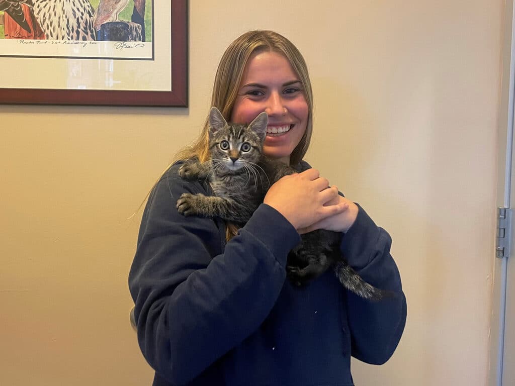 A young woman holding a gray tabby kitten close to her chest, smiling. The background features a soft-colored wall and a framed artwork above her. The photo captures a moment of a pet adoption.