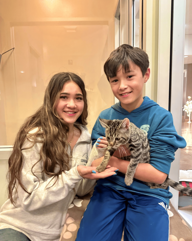 A girl with long brown hair and a gray sweatshirt sits next to a boy in a blue hoodie. The boy holds a striped kitten, and both children smile at the camera. They are in a brightly lit room with glass walls.