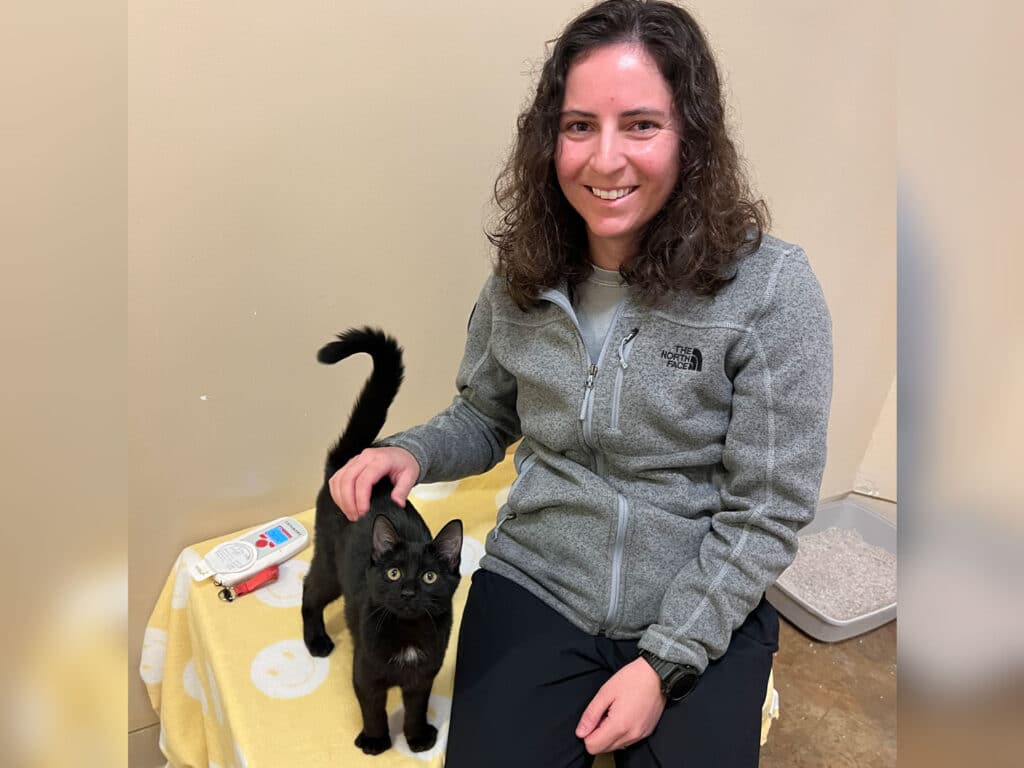 A smiling woman with curly hair sits on a bench, petting a black cat beside her. The cat looks up at her, and the background features a light-colored wall and a small litter box. A yellow blanket is draped over the bench.