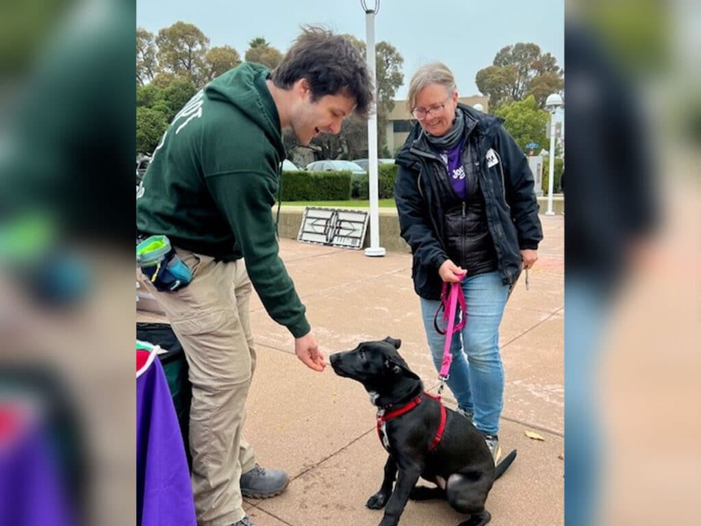A man in a green jacket is kneeling to greet a black dog wearing a red harness in a park. A woman stands nearby holding the dog’s leash, smiling at the interaction. There are park benches and trees in the background under an overcast sky.