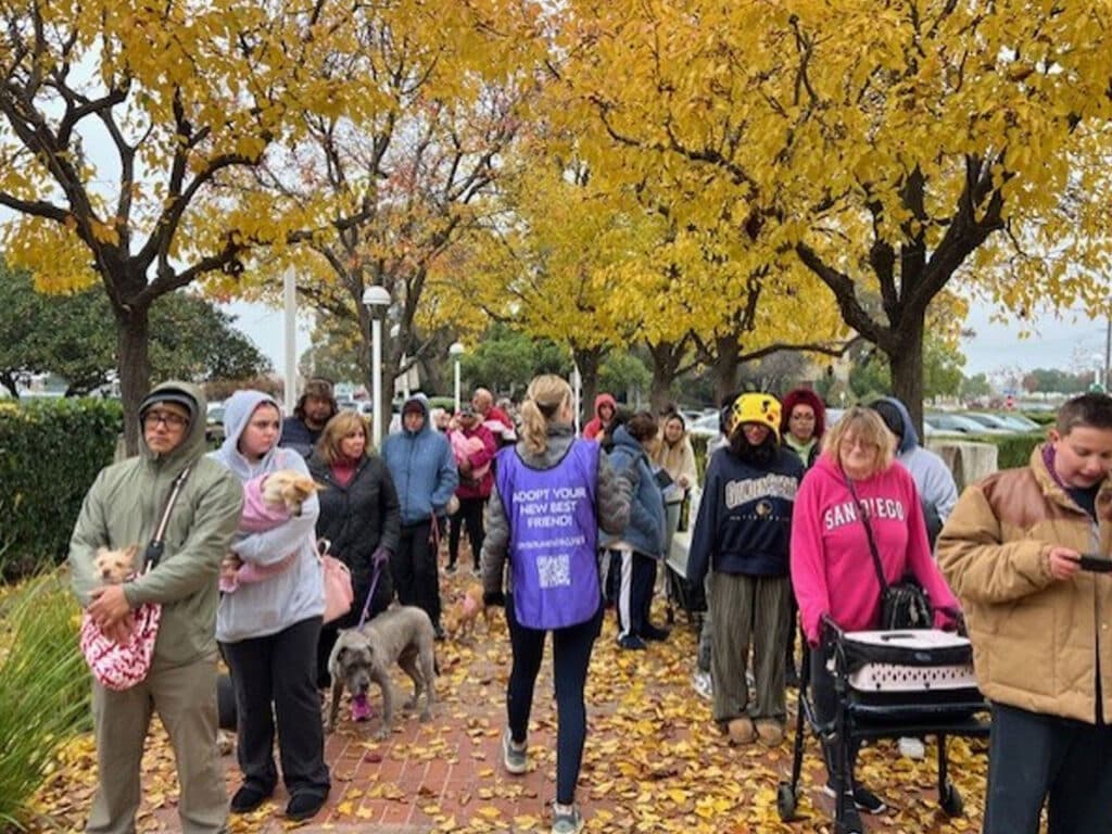 A line of people with dogs walking along a path covered in fallen leaves, under yellow trees. Some individuals are wearing hooded jackets, and one person carries a dog in a stroller. The image appears to depict a gathering related to a vaccine clinic.
