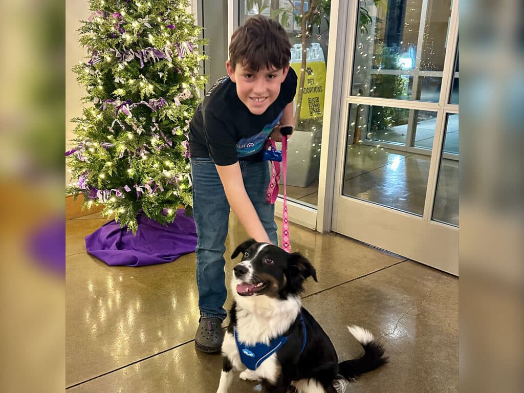 A young boy with brown hair smiles and pets a black and white dog wearing a blue vest. They are standing near a decorated Christmas tree in a lobby area. The floor is shiny, and there is a door in the background.