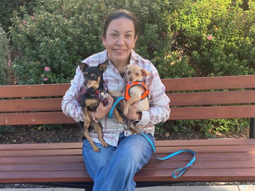 A woman sitting on a park bench holds two small dogs, one wearing a black harness and the other wearing an orange harness. Lush greenery is visible in the background, indicating a sunny day. The woman smiles, appearing content.