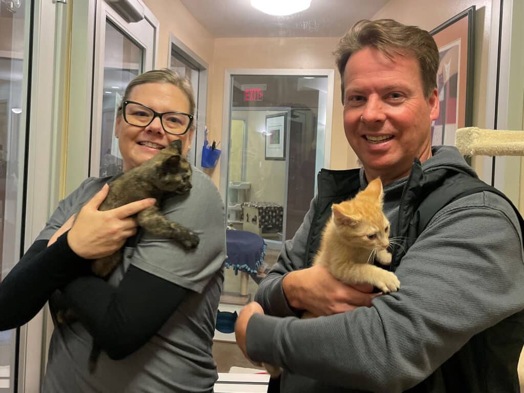 A woman in glasses holds a dark kitten while a man cradles an orange kitten, both smiling at the camera. They are standing indoors near a glass enclosure, with a soft, well-lit environment.