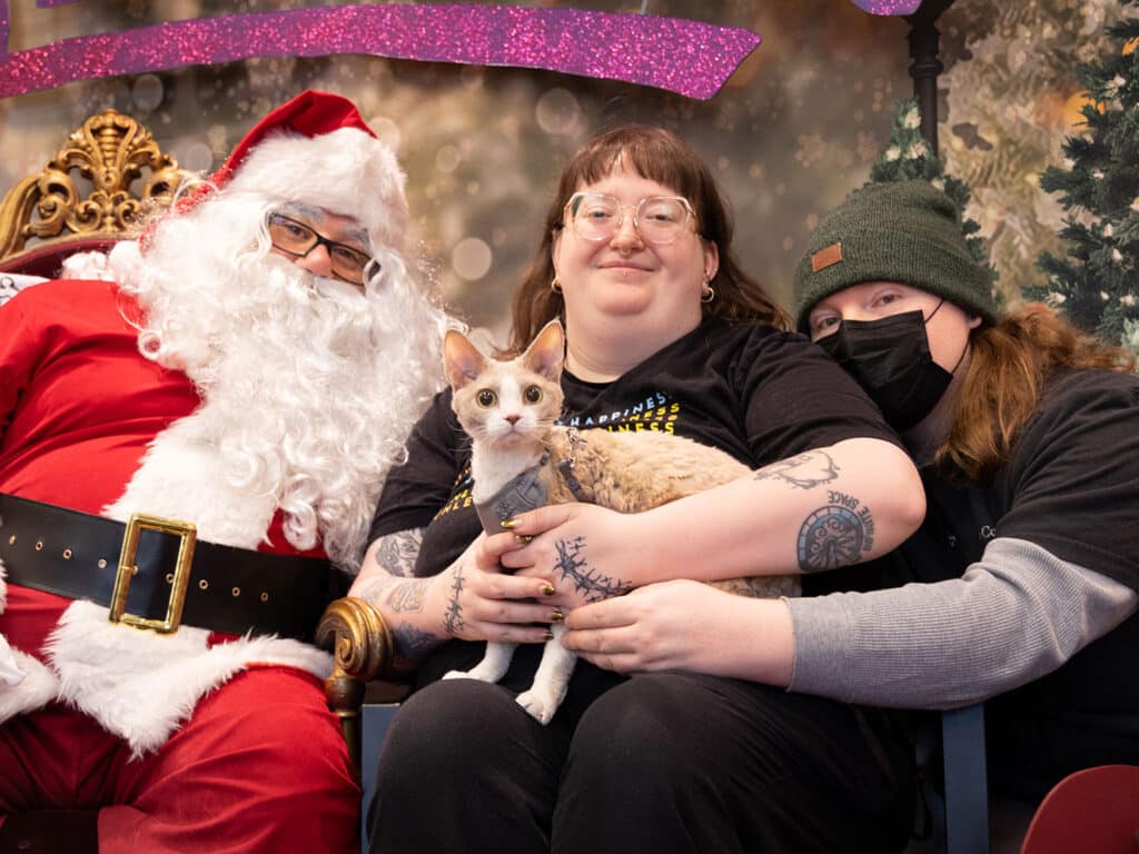 A group photo featuring a person dressed as Santa Claus on the left, a woman in a black shirt holding a cat in the center, and a person in a green beanie on the right. The background has festive decorations with a pink sparkly banner.