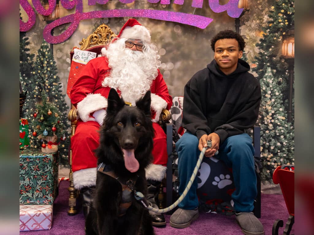A young man in a black hoodie sits next to a large black dog, both positioned in front of a seated person dressed as Santa Claus. The backdrop features holiday decorations, with green trees and wrapped gifts visible.