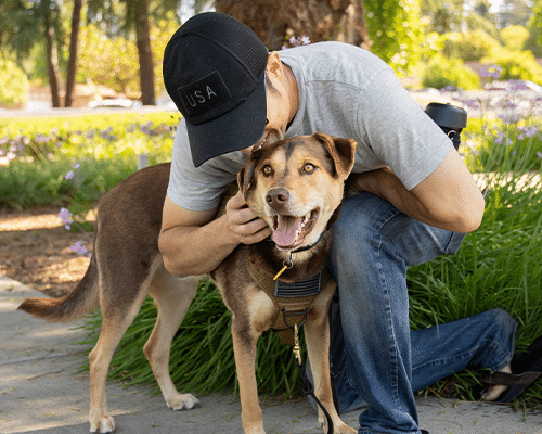 A man wearing a black cap leans down to embrace a brown and tan dog outdoors. The dog is smiling, and they are surrounded by green grass and purple flowers in a sunny park setting.