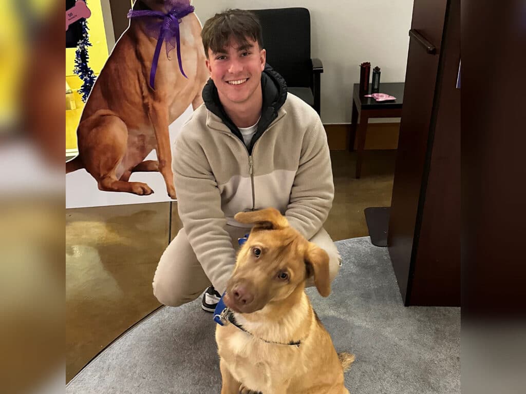 A young man wearing a beige hoodie interacts with a light brown dog seated in front of him. The background features a dog poster and furniture in a welcoming indoor space.