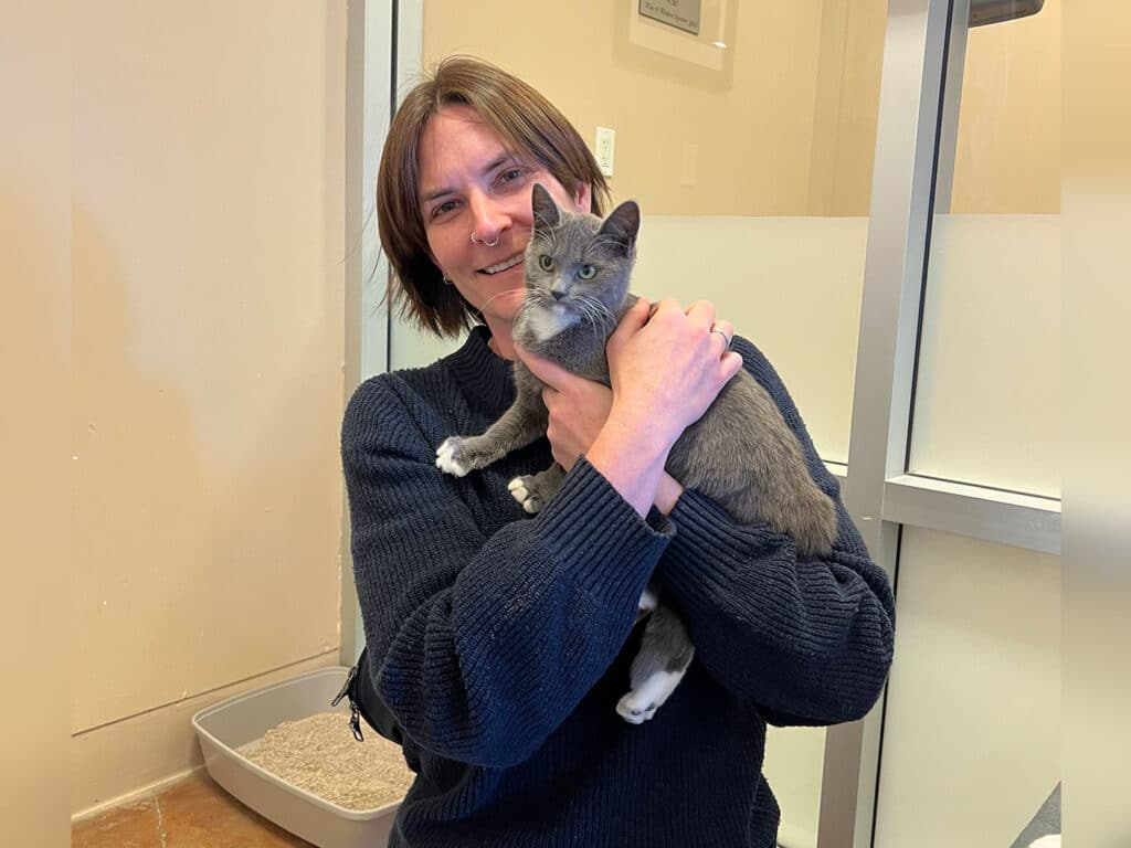 A woman holding a gray kitten in her arms, smiling while standing inside a brightly lit room. A litter box is visible in the background. The woman wears a navy sweater, and the kitten has white markings on its paws and chest.