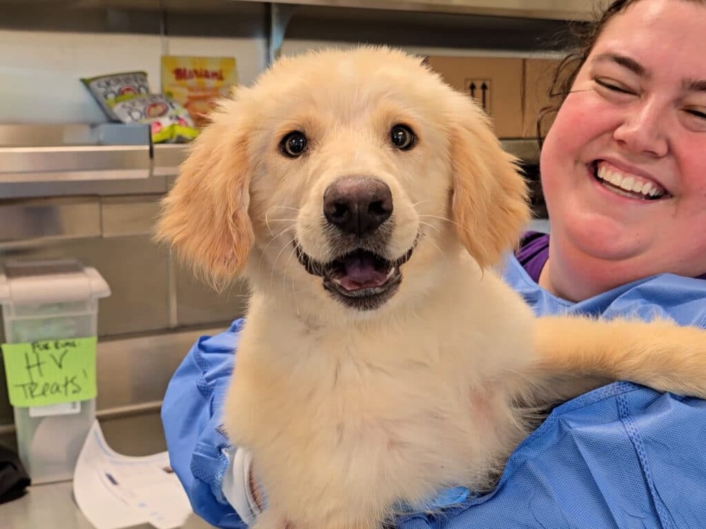 A woman in a blue shirt smiles while holding a golden retriever puppy. The puppy has a light-colored coat and a cheerful expression. In the background, shelves with items and a sign about treats are visible.