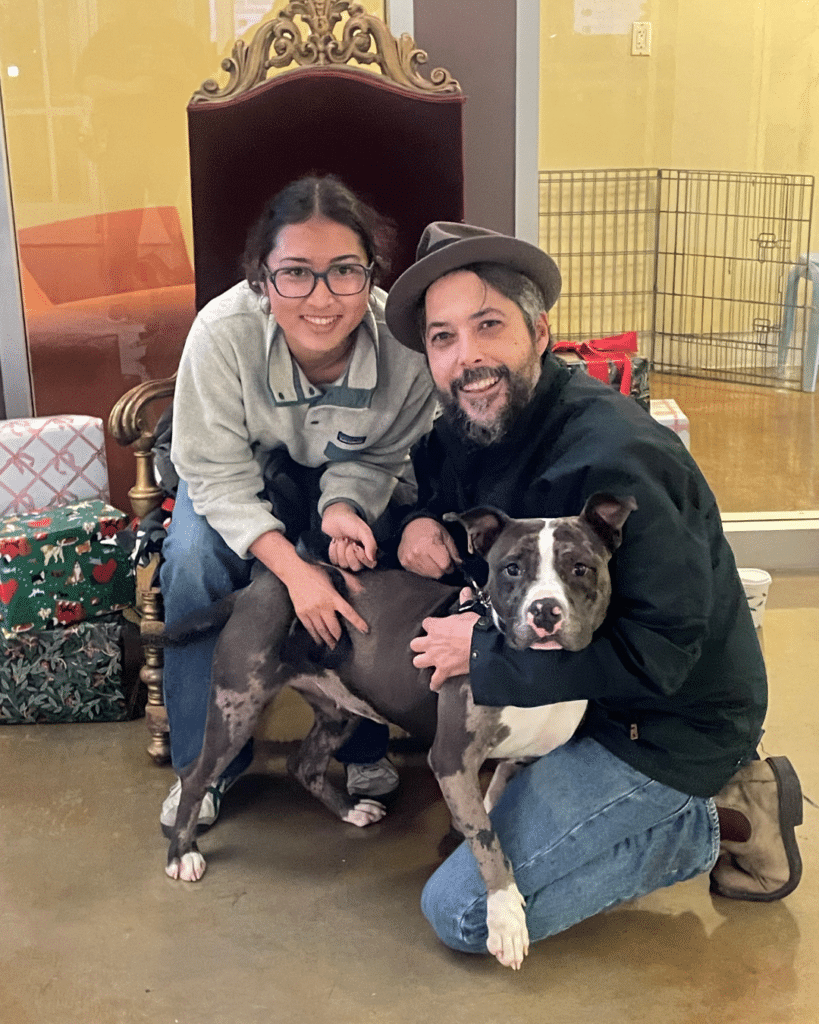 A man and a woman, both smiling, pose with a medium-sized gray and white dog in front of a golden throne-like chair. The woman wears glasses and a gray sweatshirt, while the man has a beard and a hat. Christmas gifts are visible in the background.