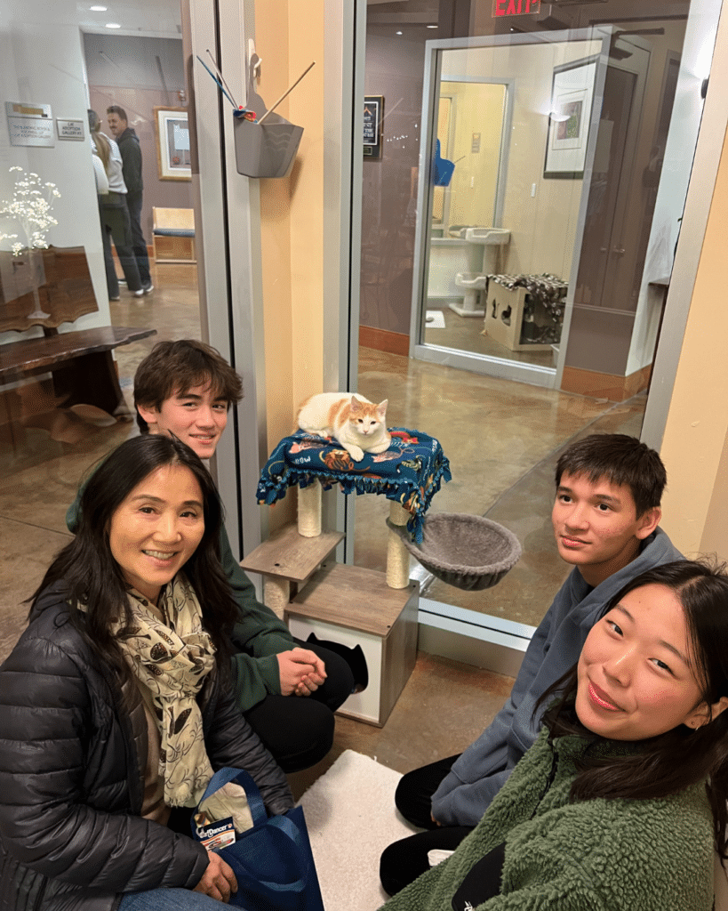 A group of four people, including a woman and three teenagers, gathered around a cat sitting on a colorful perch inside an animal adoption center. The setting appears welcoming with natural light and pet adoption materials in the background.