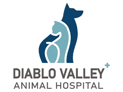 A logo for Diablo Valley Animal Hospital featuring a stylized blue dog and a cat in silhouette. Below the imagery, the text "DIABLO VALLEY ANIMAL HOSPITAL" is displayed in a modern font.