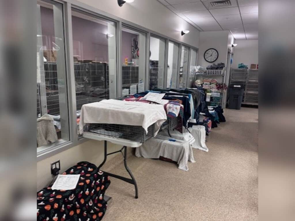An indoor room with glass-fronted animal cages arranged along the walls. In the foreground, a table covered with linens and clothes is visible. The space has a clock on the wall and appears organized with various supplies and equipment.
